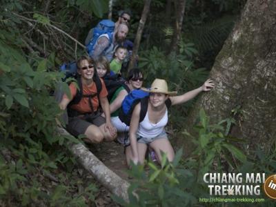 Photos from our guests | Chiang Mai Trekking | The best trekking in Chiang Mai with Piroon Nantaya